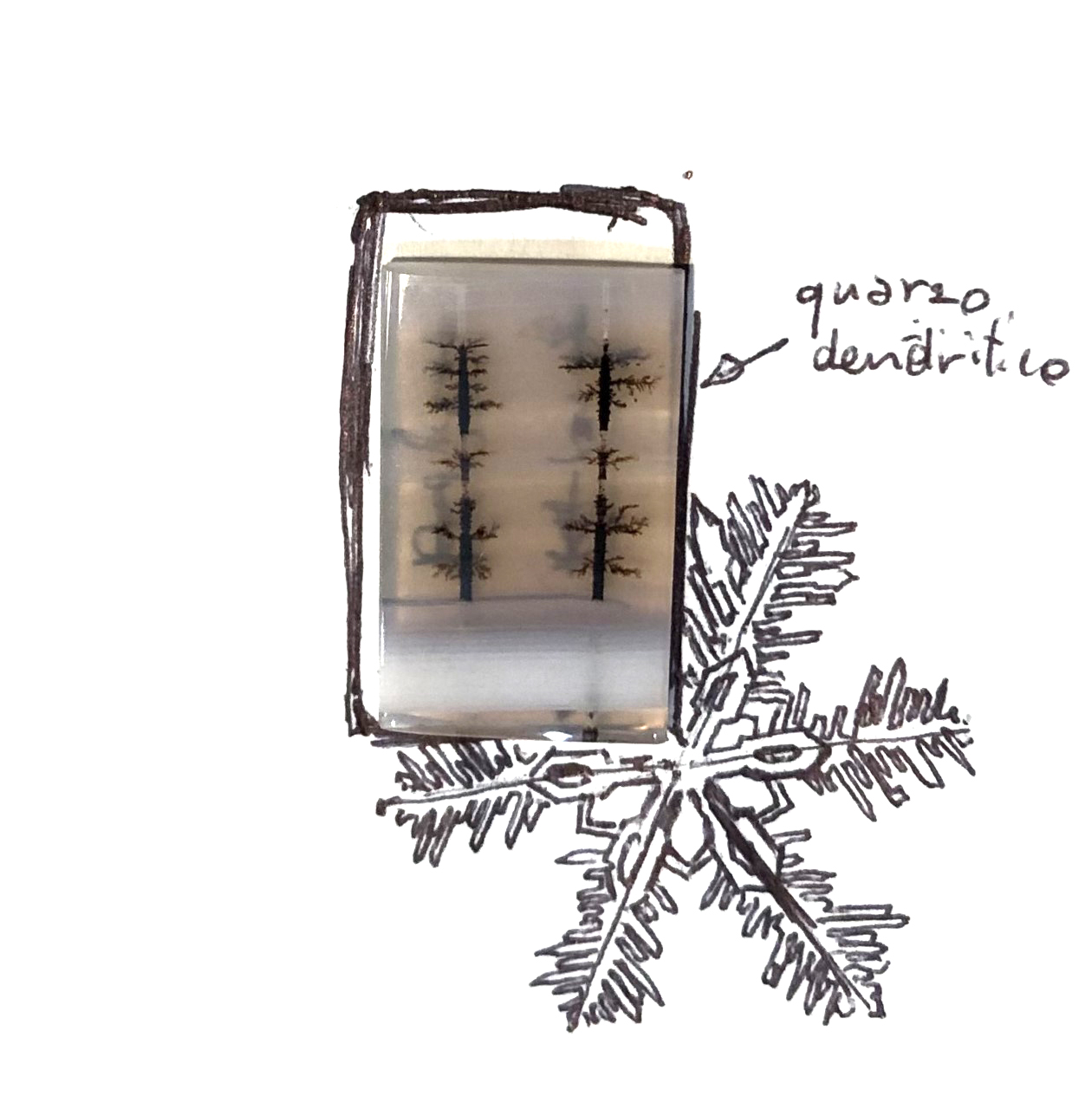 Agata Dendritica