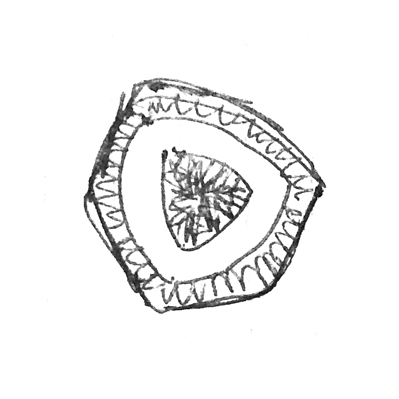 Tormalina Policroma