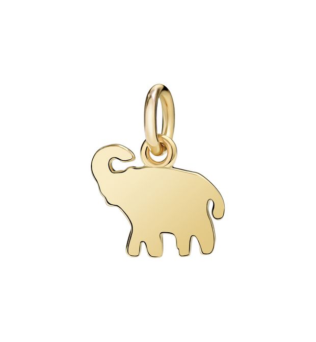 Elefante