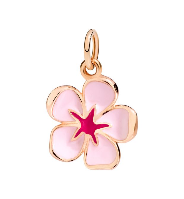 Fiore Di Ciliegio