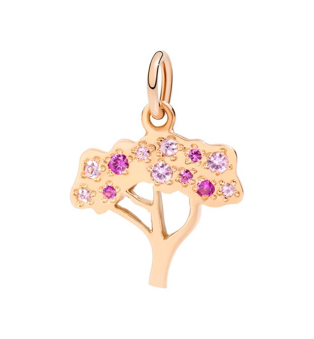 Albero